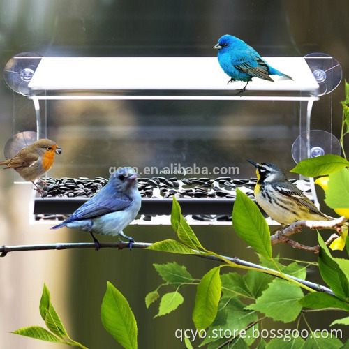 4 Heavy Duty Suction Cups Acrylic Window Bird Feeder with Drain Holes